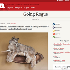 Virginia Quarterly Review, Going Rogue