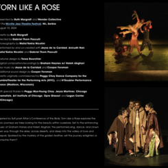 torn like a rose on Wender collective website 