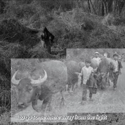 Song as a Battlefield 