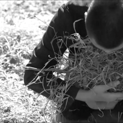 Song as a Battlefield