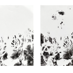 Selected prints from the installation