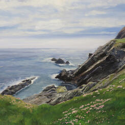 Sea Thrift at Sumburgh Head