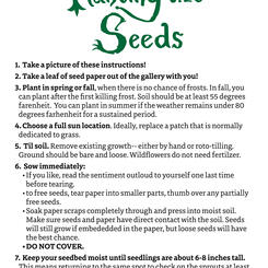 The Dreaming Manifesto- Poster 2