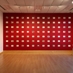 Installation image, Gallery II, BlackRock Center for the Arts 