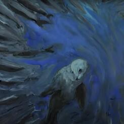 Ten Degrees of Strange Sea Lion