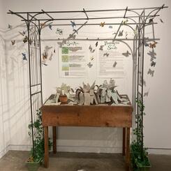 Dreaming Manifesto Installation