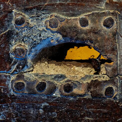 The Todd Upside Down