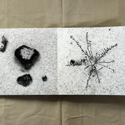 The Place In Between