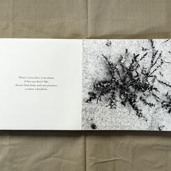 The Place in Between