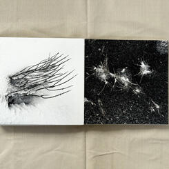 The Place In Between