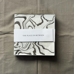 The Place In Between