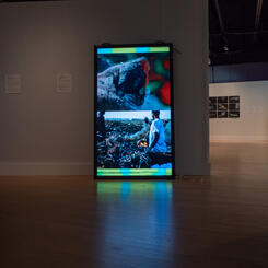 Gallery view of the abandoned mall monitor juxtaposing two of the multiple videos of an urban mining site and an enlarged flower