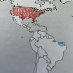 Where Does it Hurt (WORLD)