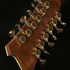 Back of Headstock