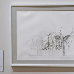 Unclaimed scarves on signposts as are dreams caught in pages (I)