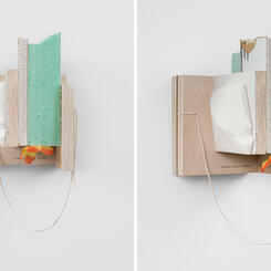 All the Birds of Paradise