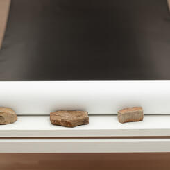 All That the Shadows Hold