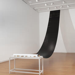 All That the Shadows Hold