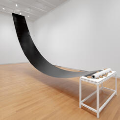 All That the Shadows Hold