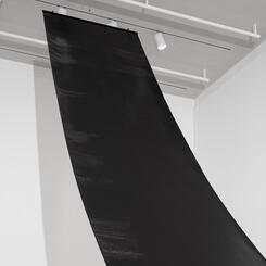 All That the Shadows Hold