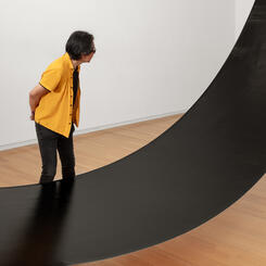 All That the Shadows Hold