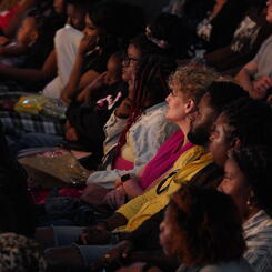 Audience Perspective 