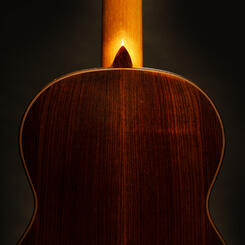 Knee and back detail 