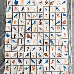 There Is A Bluebird In My Heart.