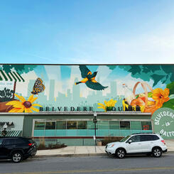 Belvedere Square, Full Mural