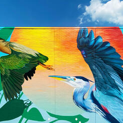 Chesapeake College Cambridge Center, Middle