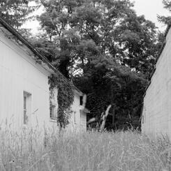 Fields of Remembrance
