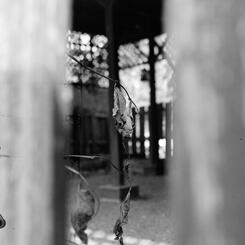 The High School Sweethearts' Spot