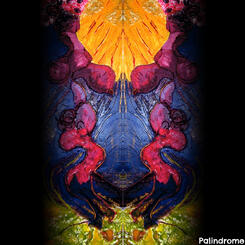 Palindrome Album Cover