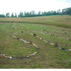 Ashes to Ashes, Dust to Rust