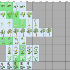 Data Collection Process