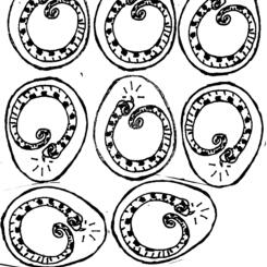 All glory to the EGGTOOTH!