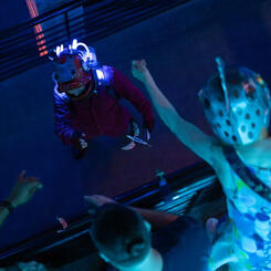 Submerged! In the Company of Fish