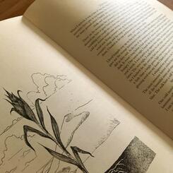 The Book of Stars: Stories of the Light Queen (Folktale Book Object View)