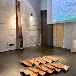 Not Everything That Falls From the Sky Is  Meteorite