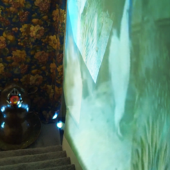 THE HOG immersive space