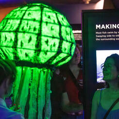 Submerged! In the Company of Fish