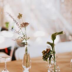 The Brick Hill Plant Lab