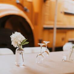 The Brick Hill Plant Lab