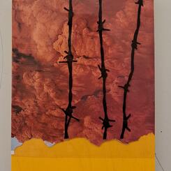 Patterns Of Behavior