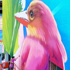 DC Walls 2020, In Progress