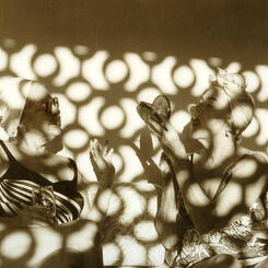 Prisoners Of The Villa