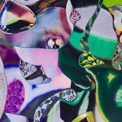 Seasons of the swamp detail