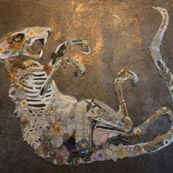Skeleton, Squirrel 