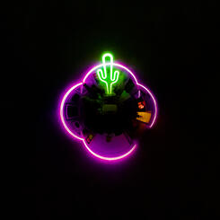 Glowing Green Cactus, Photo 2022