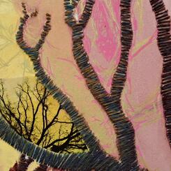 Plastic Trees Untitled